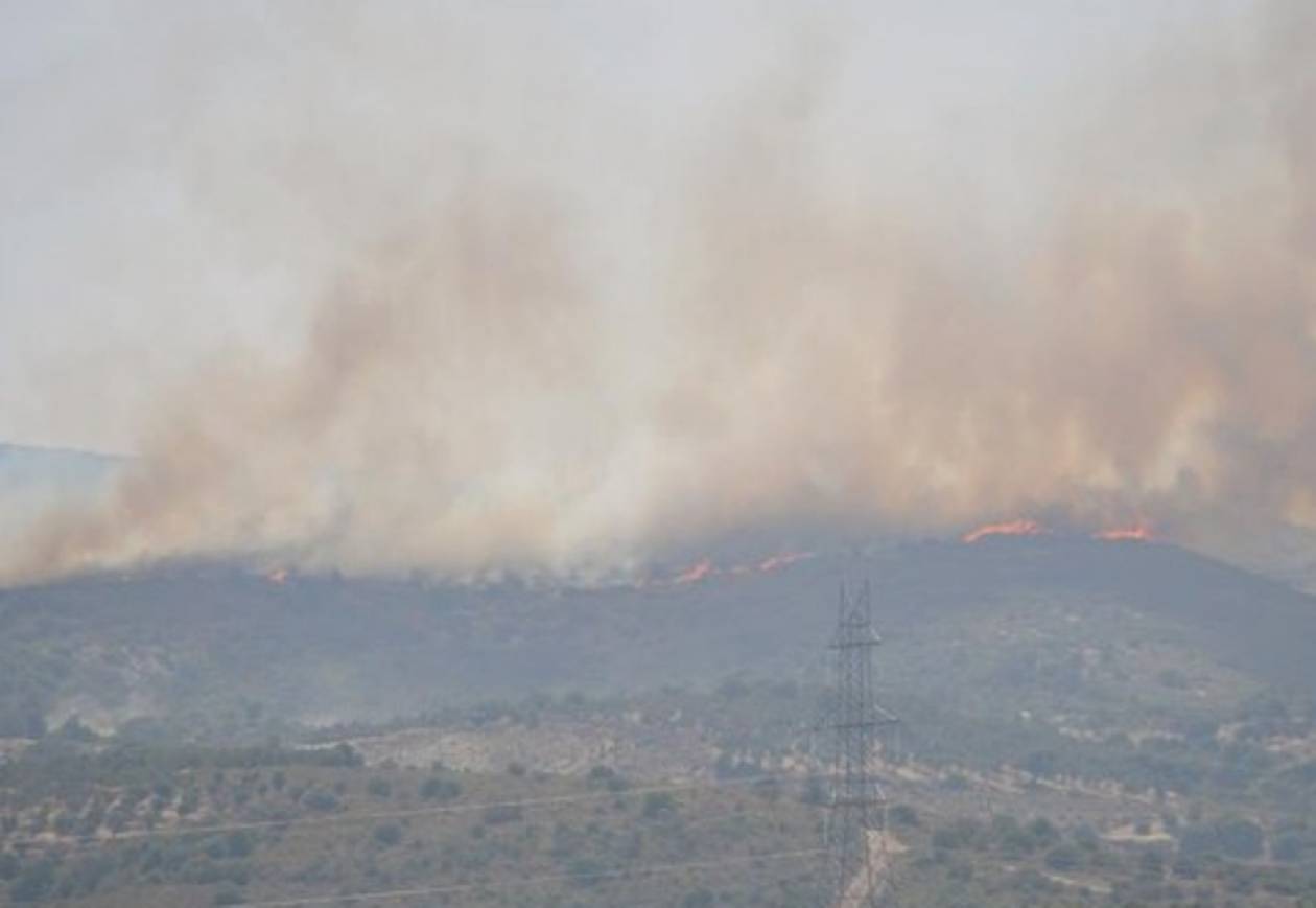 Σε ύφεση η φωτιά στην Εύβοια- Κάηκαν 1.500 στρέμματα