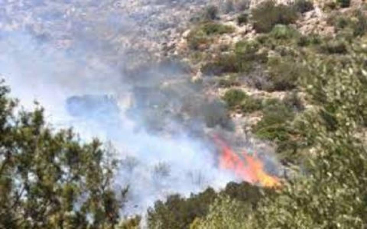 Εύβοια: Υπό έλεγχο η πυρκαγιά στο Αλιβέρι