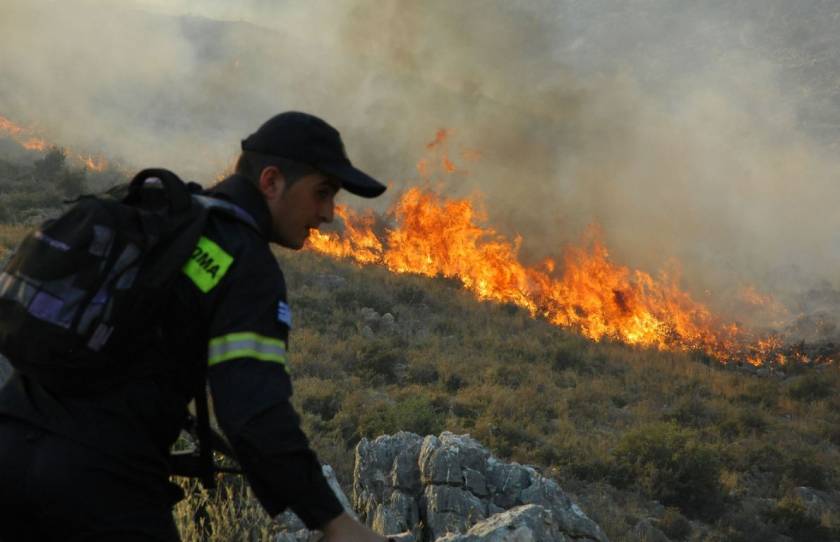 Στις «φλόγες» η Εύβοια: Μεγάλες πυρκαγιές σε Παρθένι και Στύρα