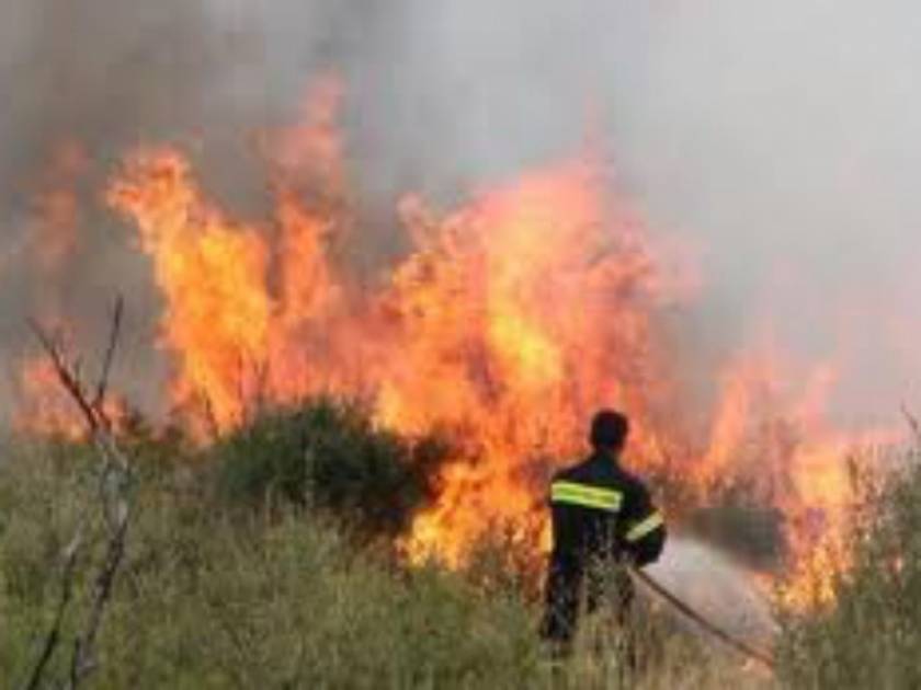 Ηλεία: Ανεξέλεγκτη η μεγάλη πυρκαγιά στο Κλεινδιά