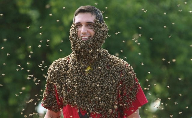 «Γενειάδες» μελισσών: Ένα... ανατριχιαστικός διαγωνισμός! (pics)