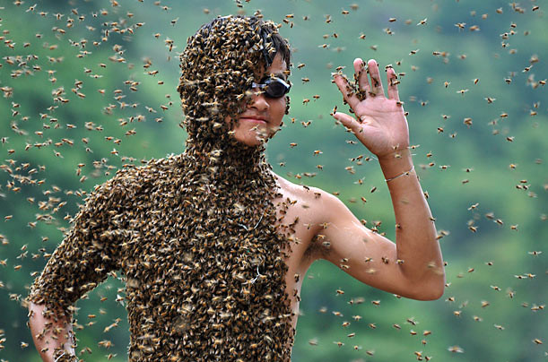 «Γενειάδες» μελισσών: Ένα... ανατριχιαστικός διαγωνισμός! (pics)