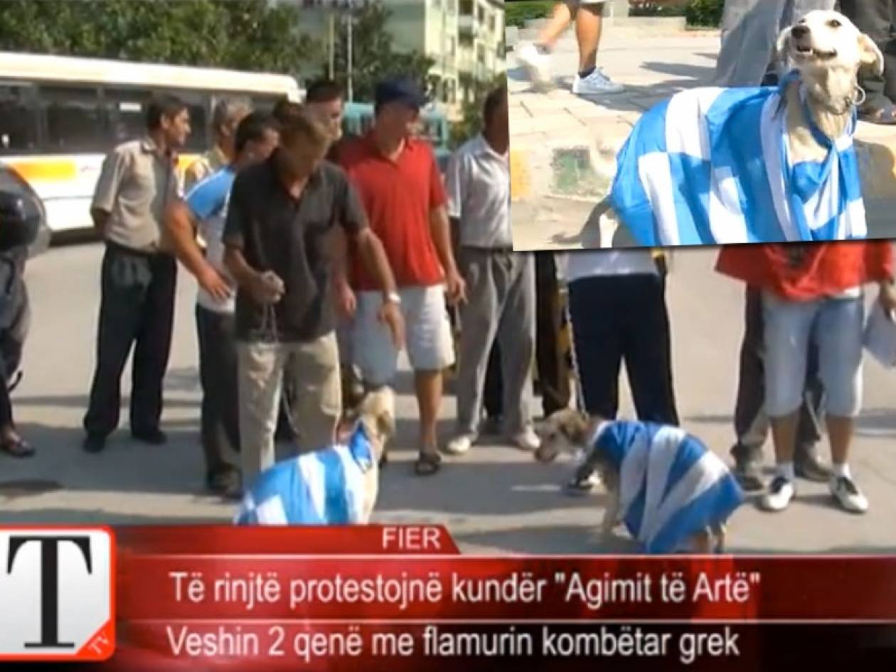 Σοκ! Αλβανοί εθνικιστές έντυσαν σκυλιά με την ελληνική σημαία (video)