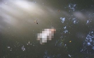 Φωτογραφία που σοκάρει: Νεκρό νεογέννητο σε ποτάμι!