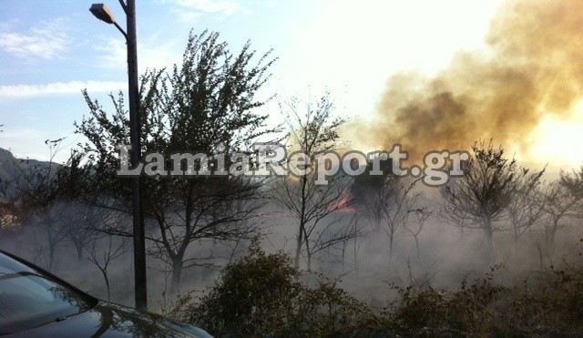 Φθιώτιδα: Οι φλόγες «έγλειψαν» τις αυλές σπιτιών στο Καινούργιο (pics)