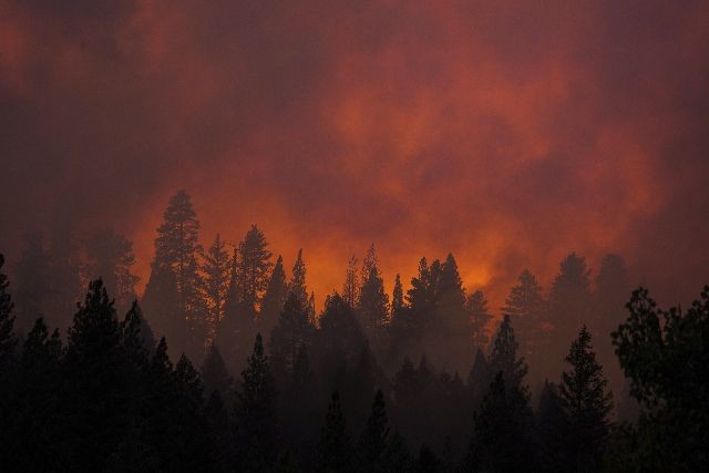 Καίγεται η Καλιφόρνια (pics)