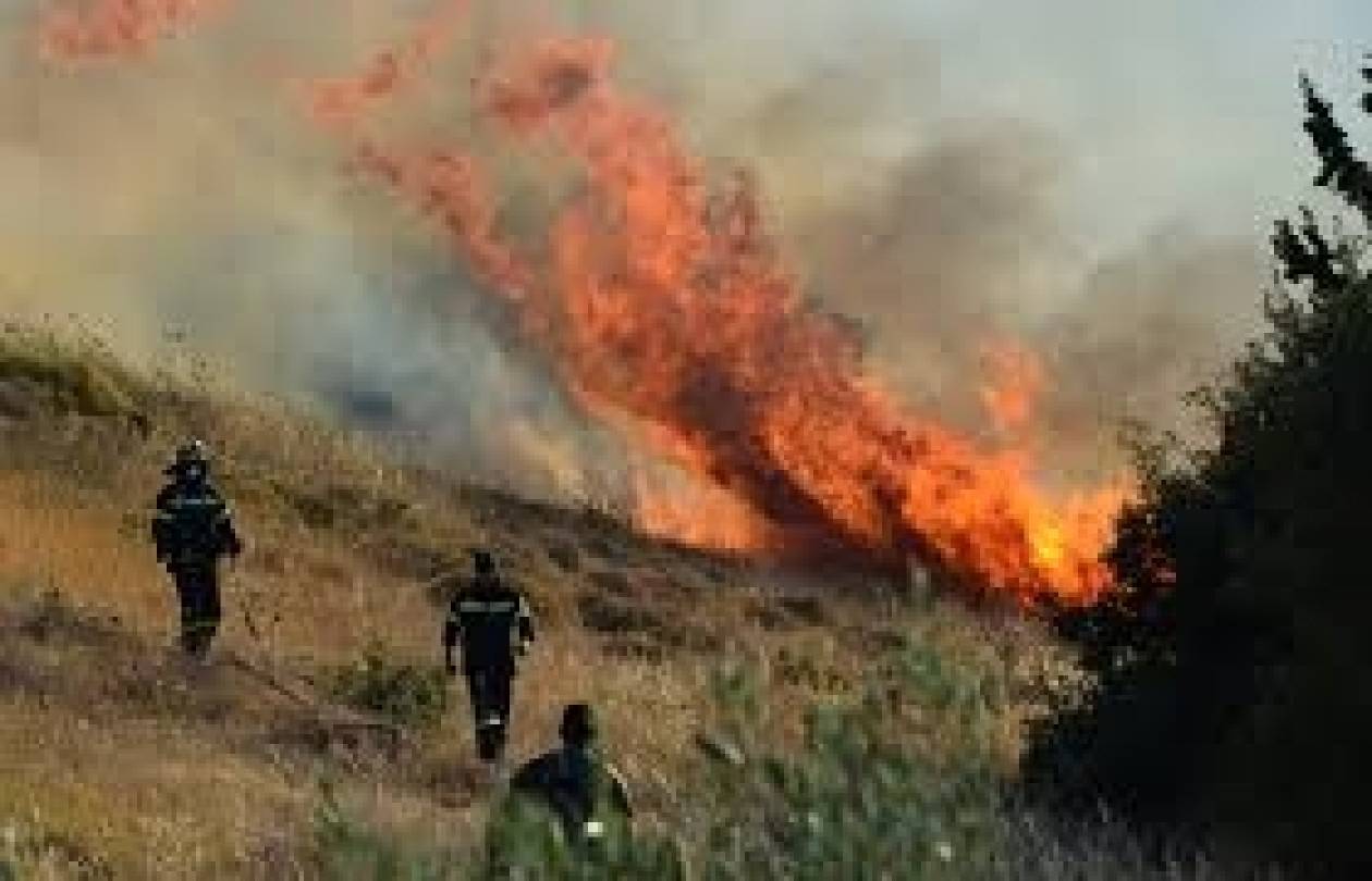 ΤΩΡΑ: Πυρκαγιά στα Οινόφυτα