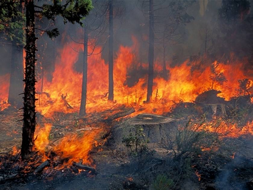 Πάργα: Σε εξέλιξη οι προσπάθειες για την κατάσβεση της πυρκαγιάς