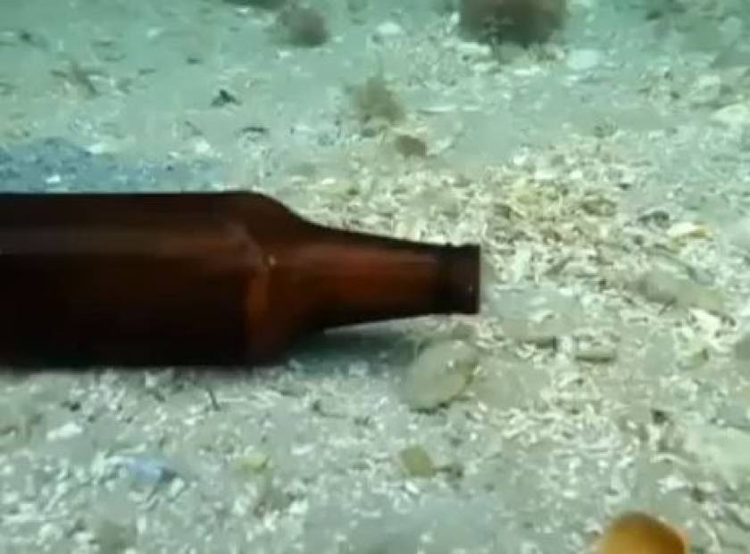 Τι ζει μέσα στο μπουκάλι μπίρας;