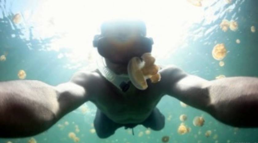 Άνδρας κολυμπά σε λίμνη με μέδουσες (video)