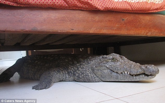 Απόλυτος τρόμος: Πάγωσε όταν βρήκε κάτω από το κρεββάτι του...