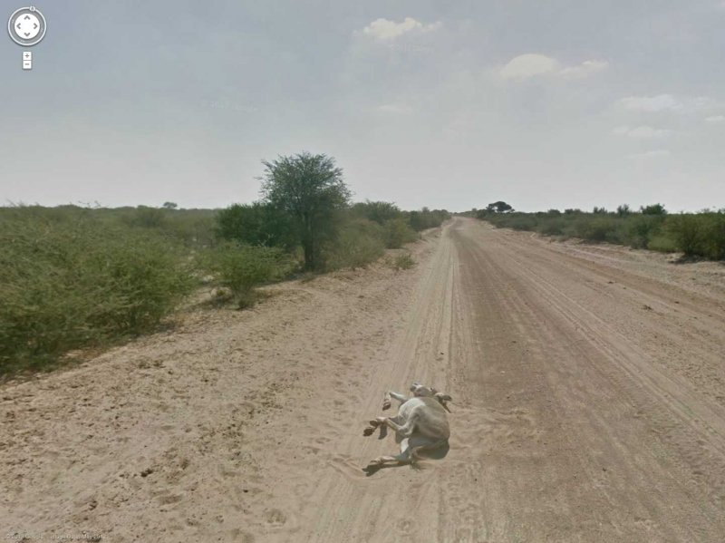 Σοκαρίστηκες φωτογραφίες κατέγραψαν οι κάμερες της Google Street View