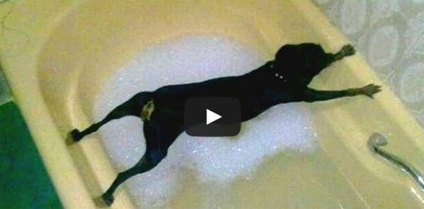 Βίντεο: Αυτοί οι σκύλοι ΔΕΝ θέλουν με τίποτα να κάνουν μπάνιο