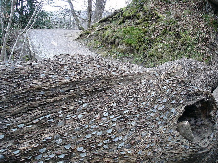 Τα δέντρα με τα εκατοντάδες νομίσματα (pics)