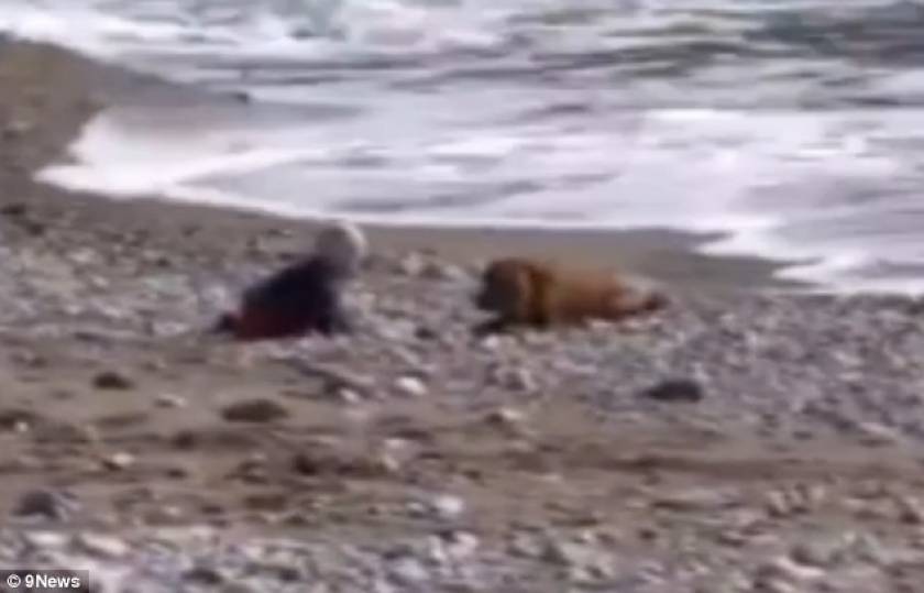 Βίντεο: Σκύλος σώζει μωρό που πάει να μπει στη θάλασσα