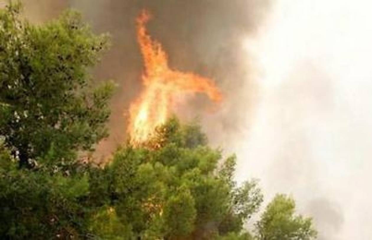 Υπό έλεγχο η φωτιά στην Κύπρο