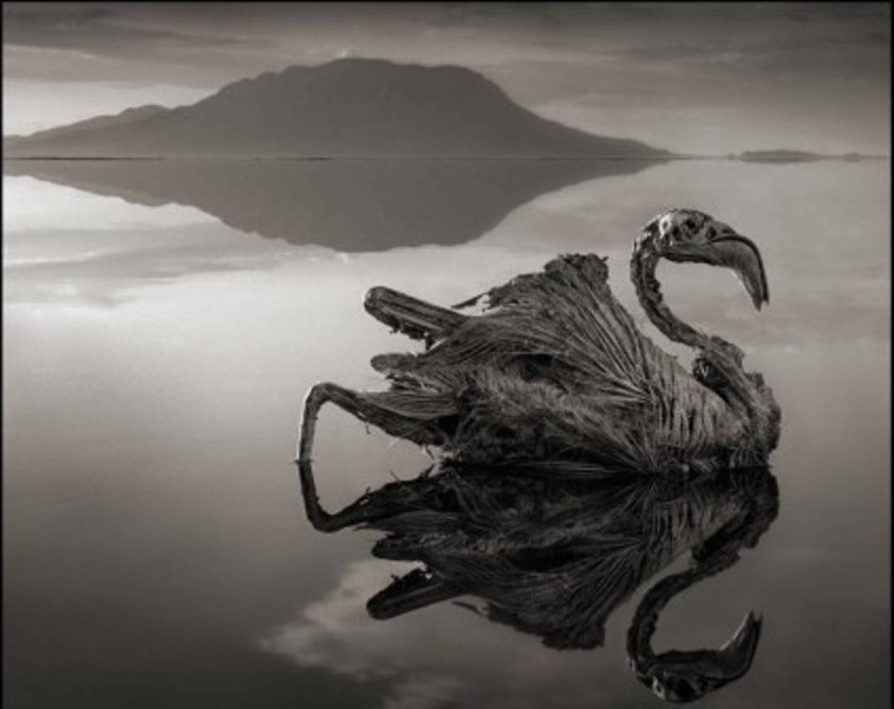 Η στοιχειωμένη λίμνη στη Τανζανία! Φωτογραφίες που συγκλονίζουν