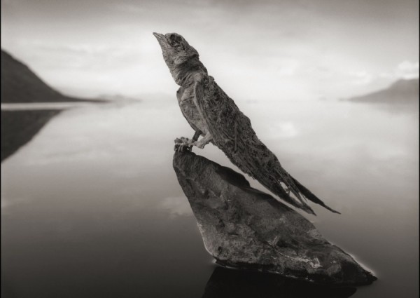 Η στοιχειωμένη λίμνη στη Τανζανία! Φωτογραφίες που συγκλονίζουν