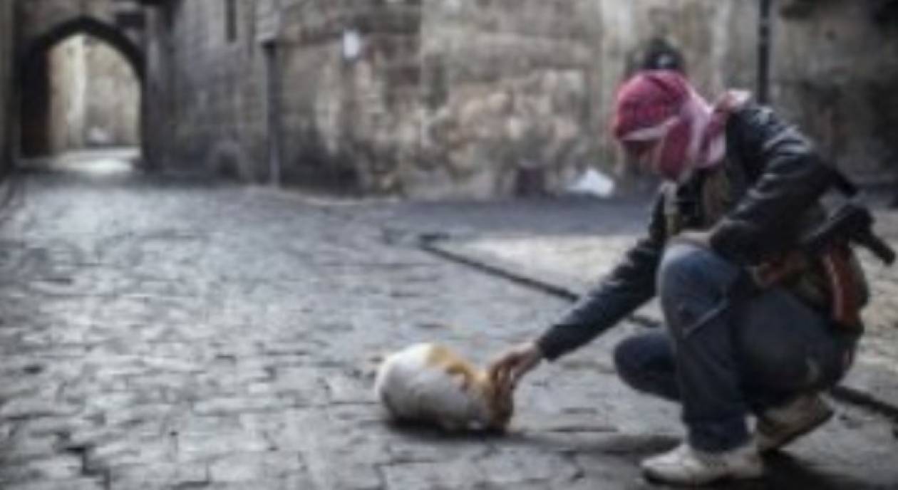ΣΟΚ: Κληρικοί επέτρεψαν την κατανάλωση τροφής σκύλων στην Συρία