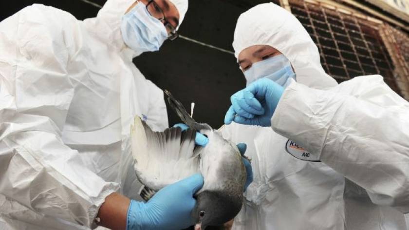 Κίνα: Καταγράφηκε ανθρώπινο κρούσμα της γρίπης των πτηνών