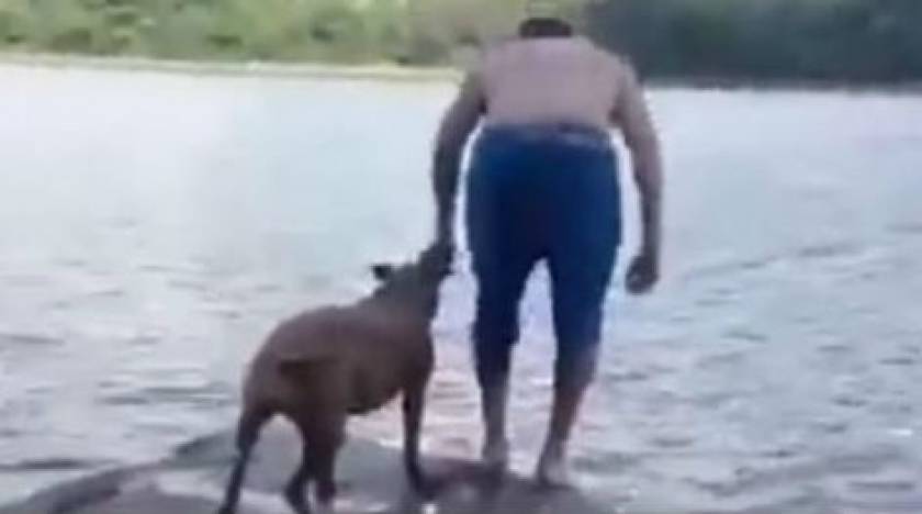 Χαμός στο YouTube: Σκύλος «σώζει» το αφεντικό του που πέφτει στο νερό
