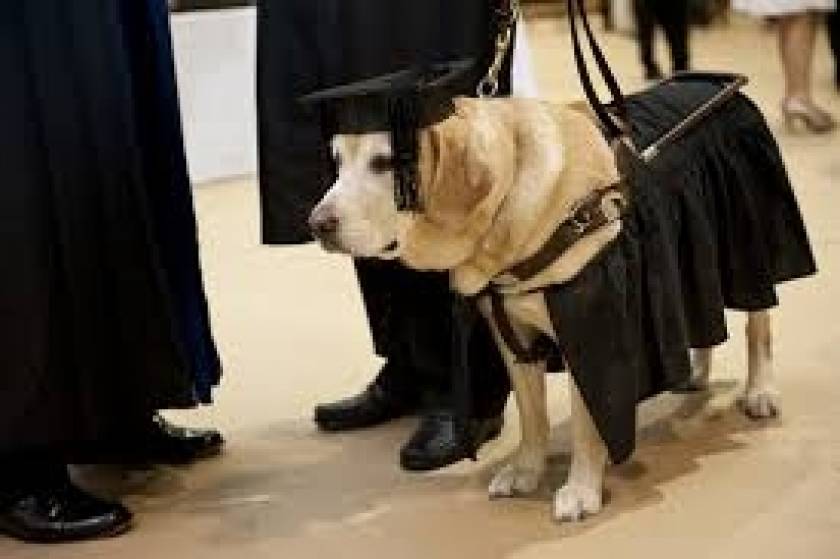 Εκπαίδευση ώρα μηδέν!Πανεπιστήμια δίνουν πτυχία ακόμη και σε σκύλους!