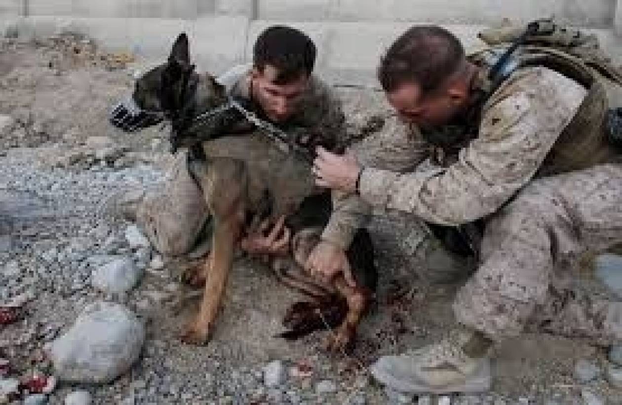 ΗΠΑ:Ανεγέρθη το μνημείο άγνωστου στρατιωτικού σκύλου!