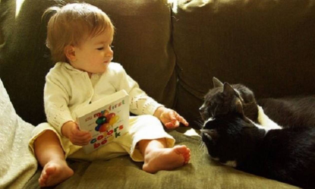 Δείτε το τρυφερό βίντεο: Μωρά και γάτες σε μεγάλες αγάπες!