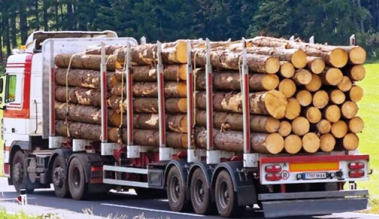 Συλλήψεις για παράνομη μεταφορά ξυλείας στην Κέρκυρα