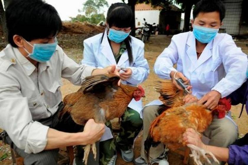 Πρώτη φορά ο ιός Η6Ν1 της γρίπης των πτηνών μόλυνε άνθρωπο