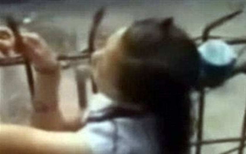 Βίντεο - ΣΟΚ: Κάγκελο «σφηνώθηκε» στο κρανίο γυναίκας!