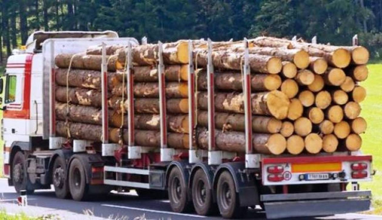 Σύλληψη 59χρονου για παράνομη μεταφορά ξυλείας στην Κέρκυρα