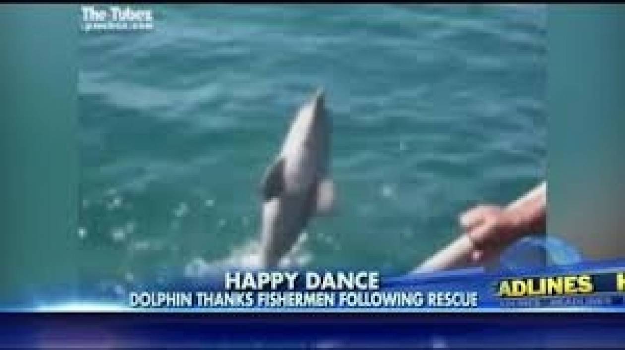 Eκπληκτικό βίντεο: Ένα δελφίνι... «ευχαριστεί» ψαράδες που το βοήθησαν