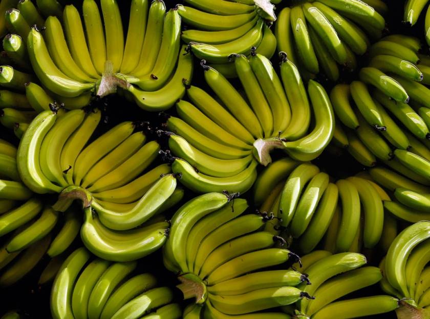 Το είδαμε και αυτό: Πωλούσε «μαϊμού»... μπανάνες!