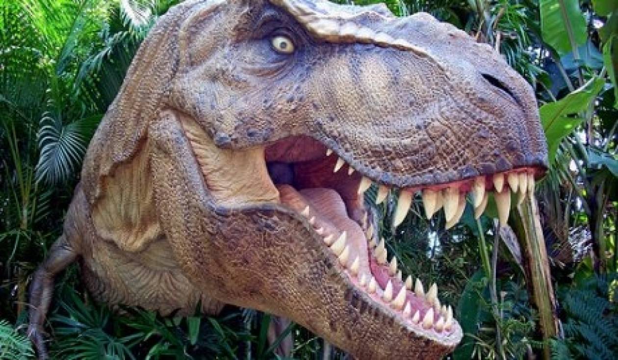 Βρέθηκε δεινόσαυρος που κυνηγούσε τον τυραννόσαυρο