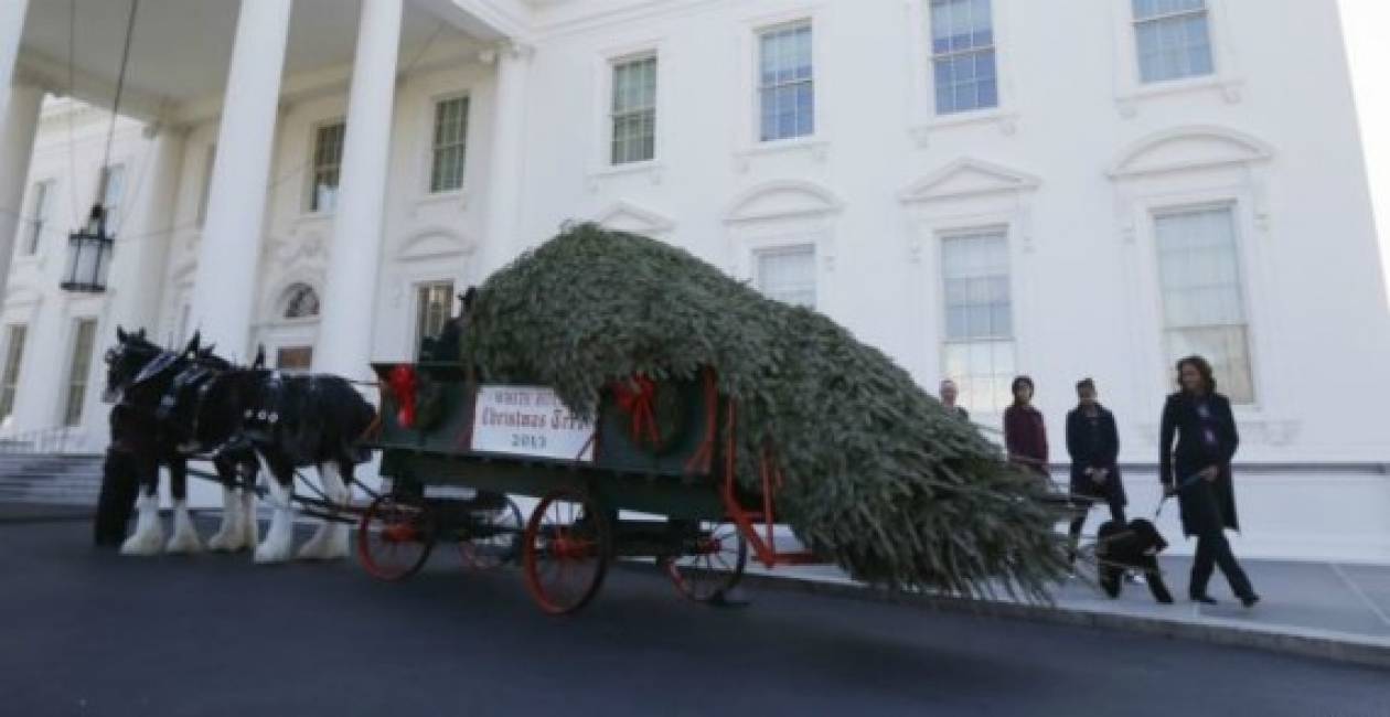 Με άμαξα έφθασε το Χριστουγεννιάτικο δέντρο στον Λευκό Οίκο