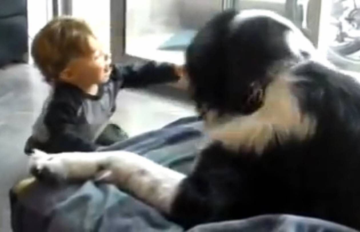 To απίστευτο γέλιο ενός μωρού όταν παίζει με έναν σκύλο! (βίντεο)