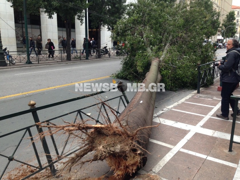 Πτώση δέντρου στη Σταδίου - Ένας τραυματίας (pics+vid)