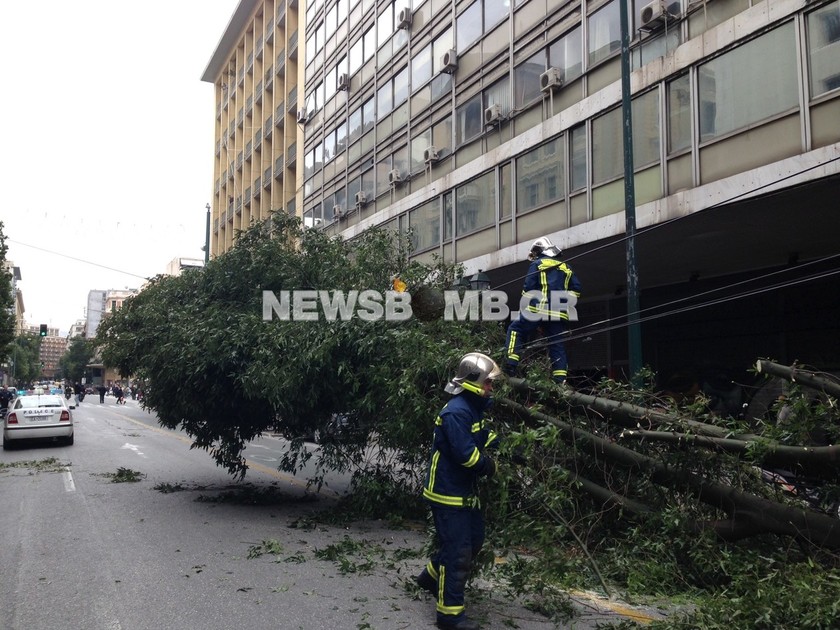 Πτώση δέντρου στη Σταδίου - Ένας τραυματίας (pics+vid)