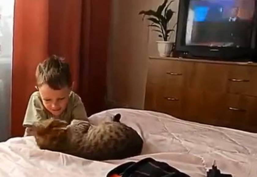Τι συμβαίνει όταν ένα παιδί πειράζει μια γάτα; (βίντεο)