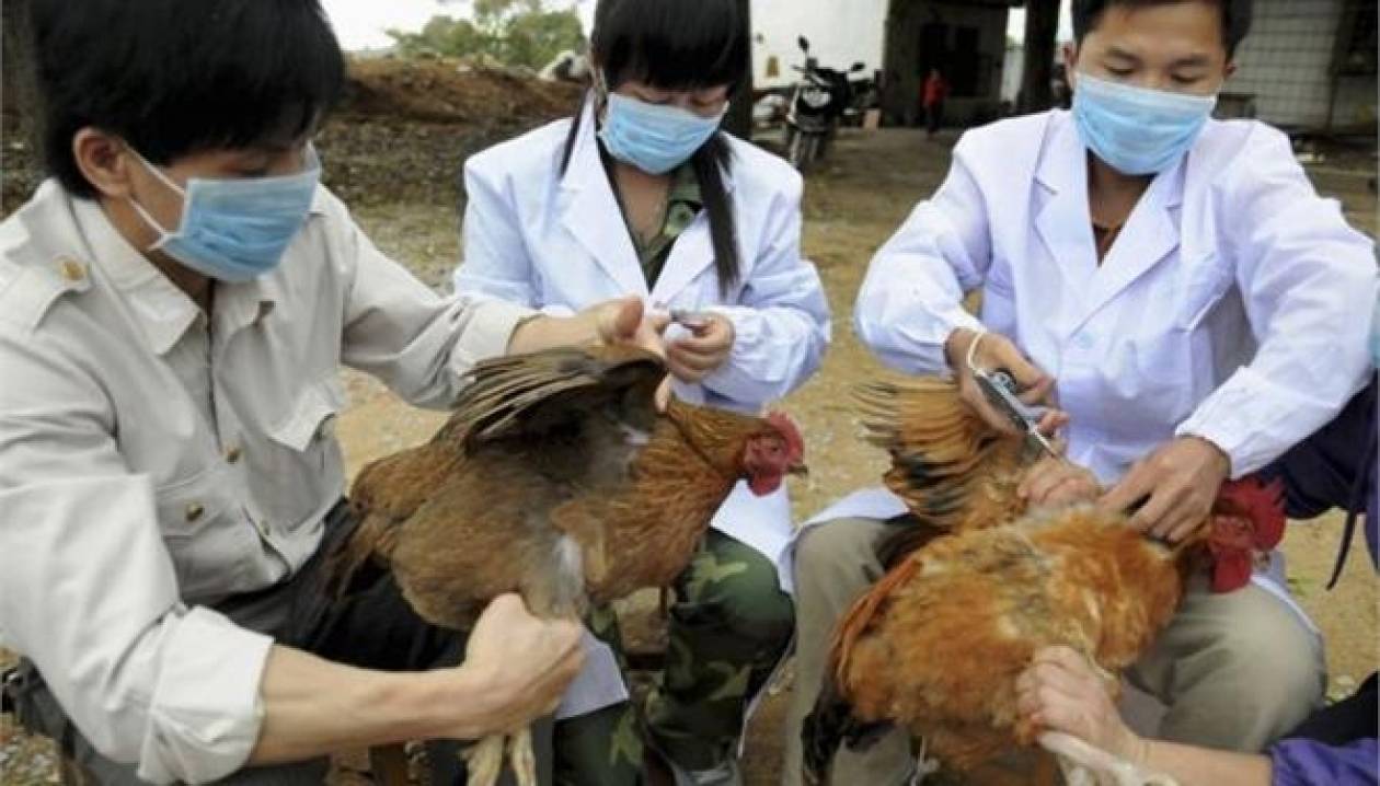 Δεύτερο κρούσμα της γρίπης των πτηνών στην Κίνα