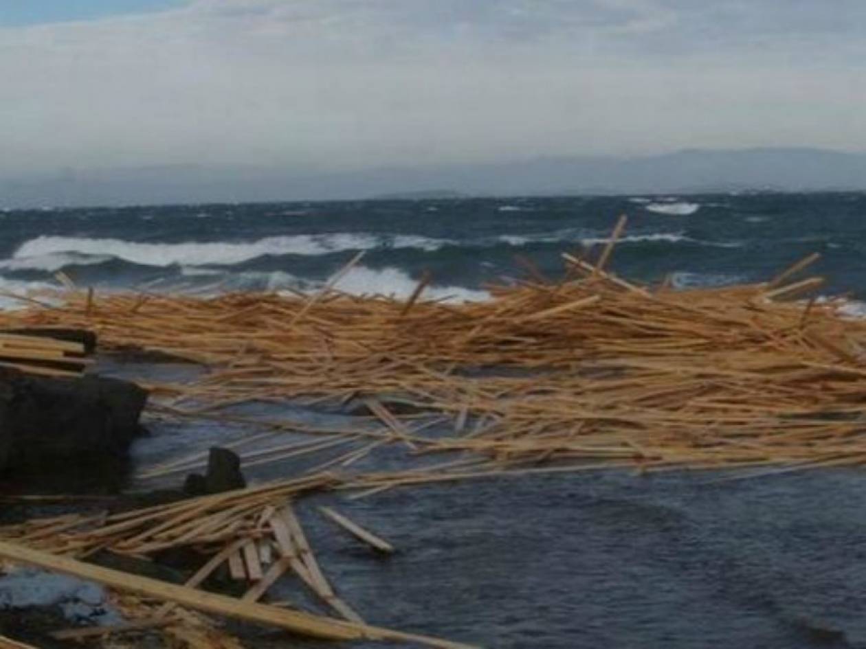 Λέσβος: Κυρώσεις στους κατοίκους που πήραν την ξυλεία αξίας 600.000 €