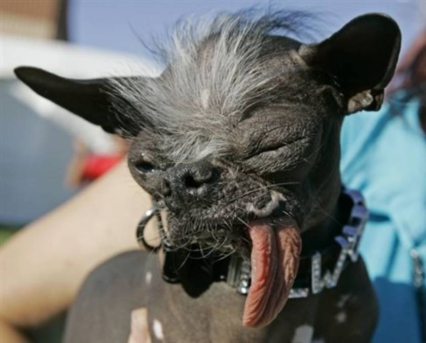 Πέθανε ο πιο άσχημος σκύλος του κόσμου