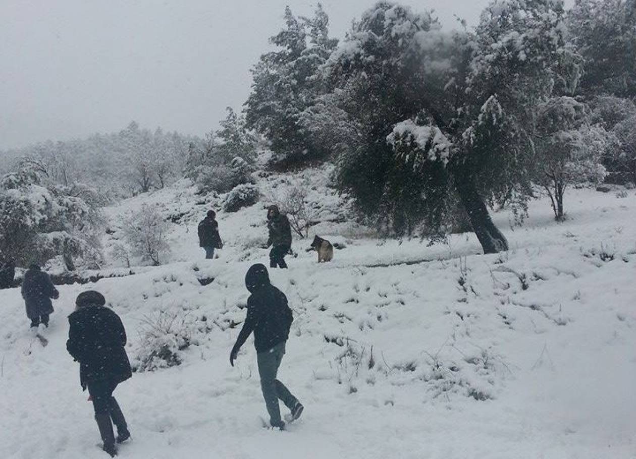 Βίντεο: Δείτε την Κύπρο χιονισμένη!