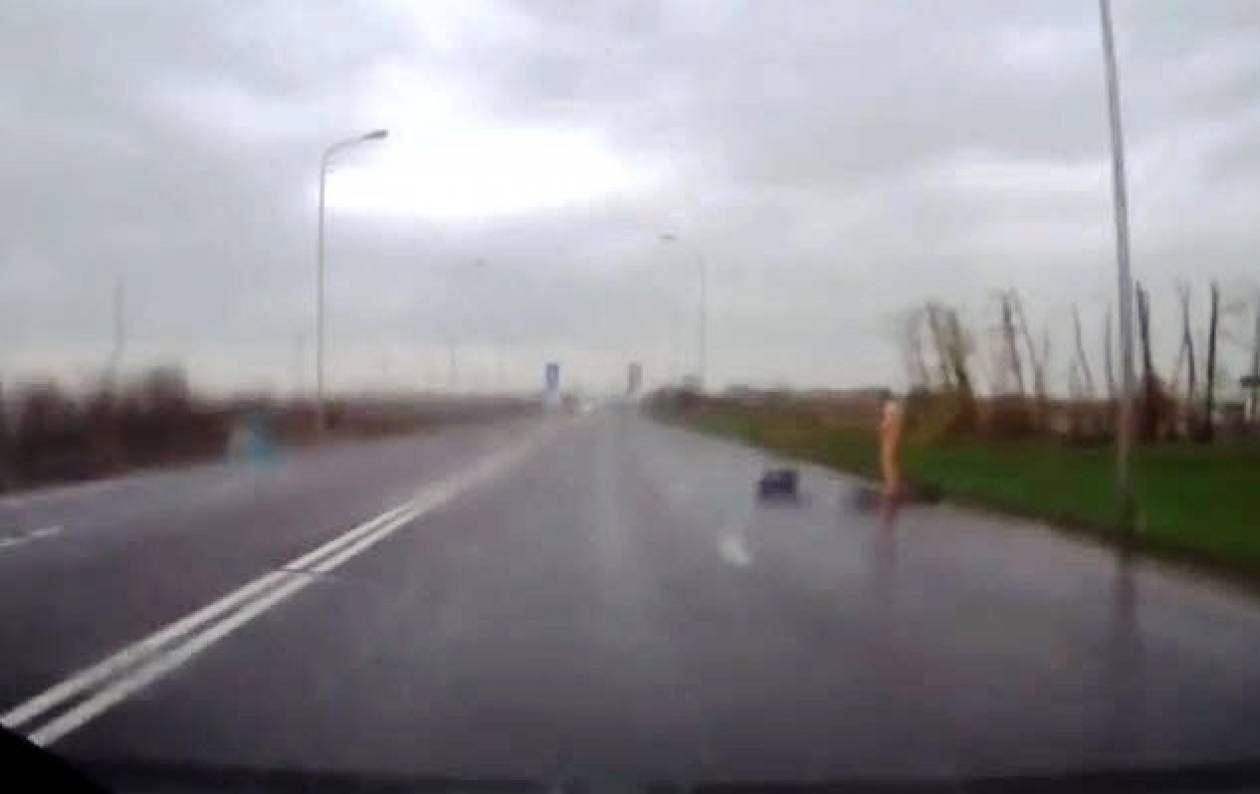 Μια... συνηθισμένη βόλτα σε αυτοκινητόδρομο της Ρωσίας (βίντεο)