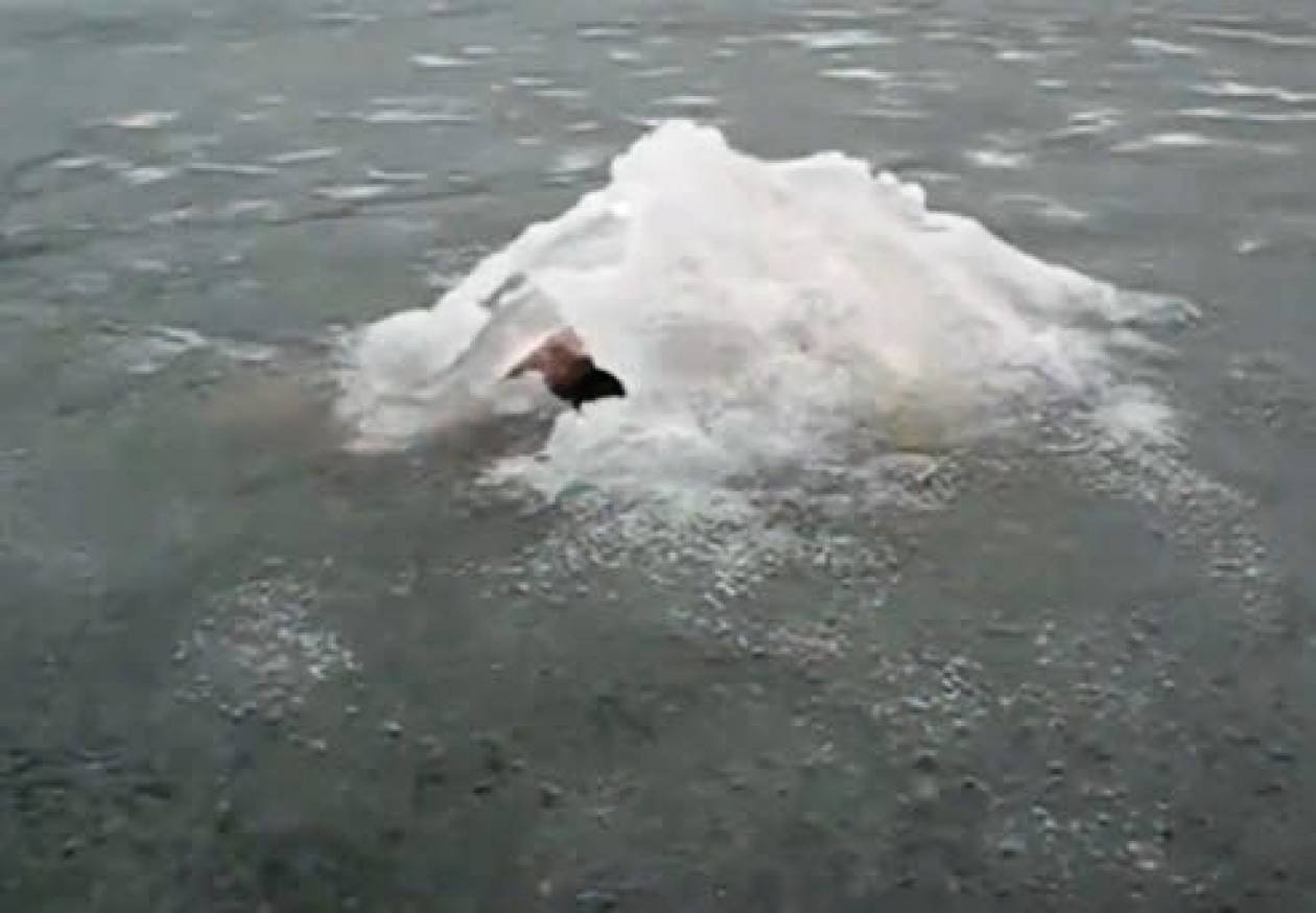 Εμφανίστηκε το «τέρας» του Λοχ Νες σε λίμνη της Ρωσίας (βίντεο)