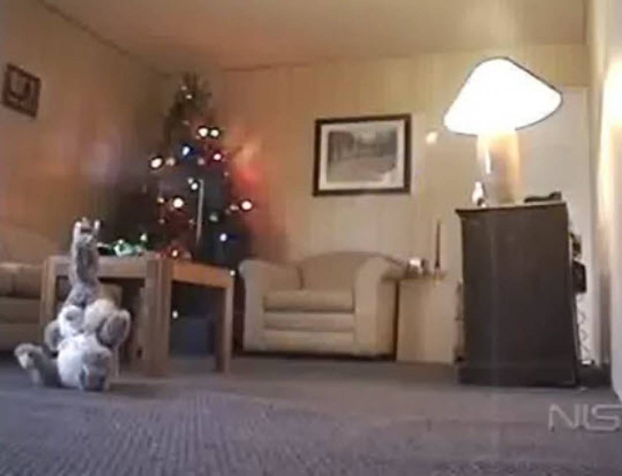 Προσοχή στα λαμπάκια του χριστουγεννιάτικου δέντρου (βίντεο)