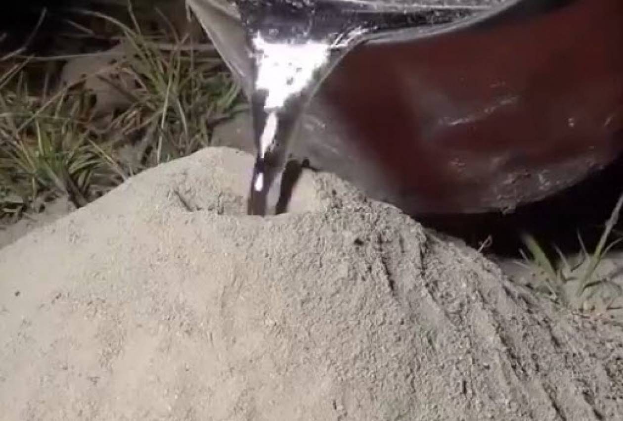 Τι γίνεται όταν ρίξεις λιωμένο αλουμίνιο σε μυρμηγκοφωλιά; (βίντεο)