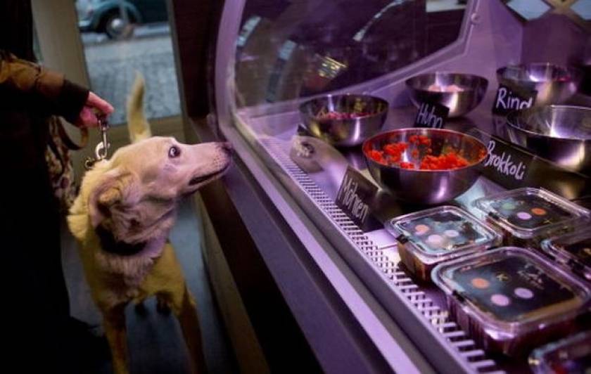 Στο Βερολίνο το πρώτο εστιατόριο για σκύλους και γάτες (photos)