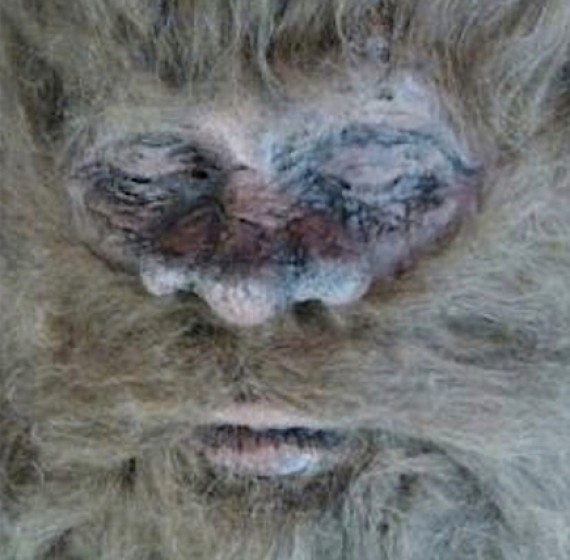 Κυνηγός ισχυρίζεται ότι σκότωσε τον θρυλικό Bigfoot! (pic+video)